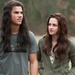 From The Twilight Saga: New Moon